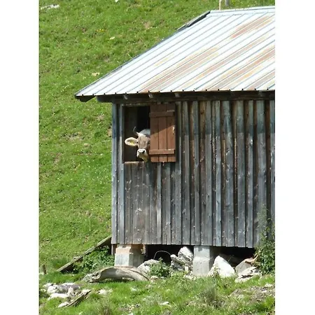 Apartamento Sonnenkopf In The Koch *